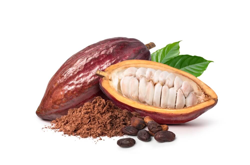 cacao arabia
