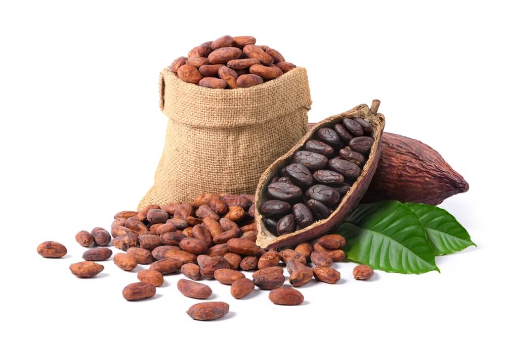 criollo cocoa